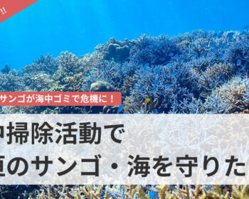 石垣島のサンゴが海中ゴミで危機に！ 海中掃除活動で石垣のサンゴ・海を守りたい