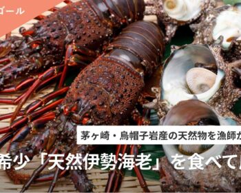 【ネクストゴール挑戦中！】茅ヶ崎・烏帽子岩産の「天然伊勢海老」を食べて支援！［漁師から獲れたて直送］