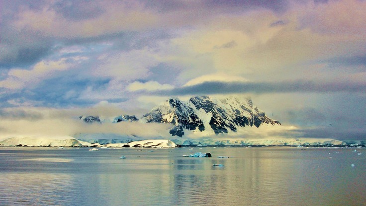 南極観測隊