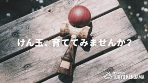 TOKYO KENDAMA