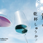 世界一奪還への決意！熱気球日本代表チームが夢を叶える新たな挑戦プロジェクト