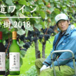 【北海道余市町】北海道ワインからぶどう作りの匠が手がけたワインをお届けします
