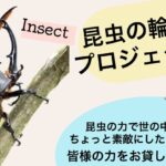 昆虫の魅力をたくさんの人に伝えたい　昆虫の輪拡大プロジェクト！！