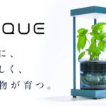 QUE｜最適化された自動点灯LEDと再生ガラスのハイドロカルチャープランター