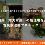 島民約600人の離島・知夫里島（ちぶりじま）で、 新ブランド地鶏「知夫軍鶏」の処理場を造る