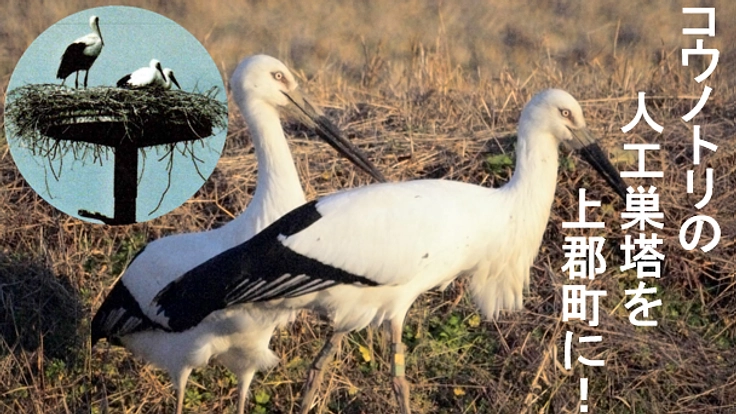 上郡町でコウノトリを育む会