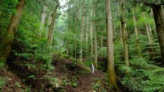 橋本光治