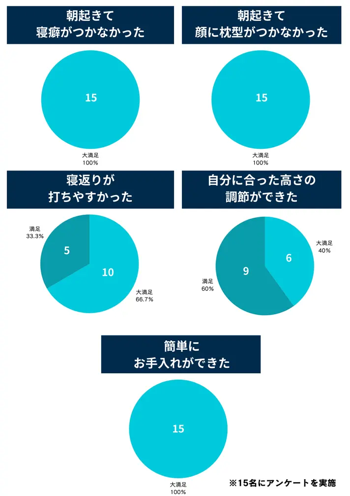 エルゴノミクス枕