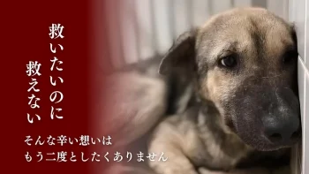 まあくんハウス