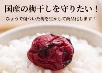 うめひかり
