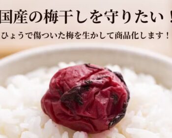 うめひかり