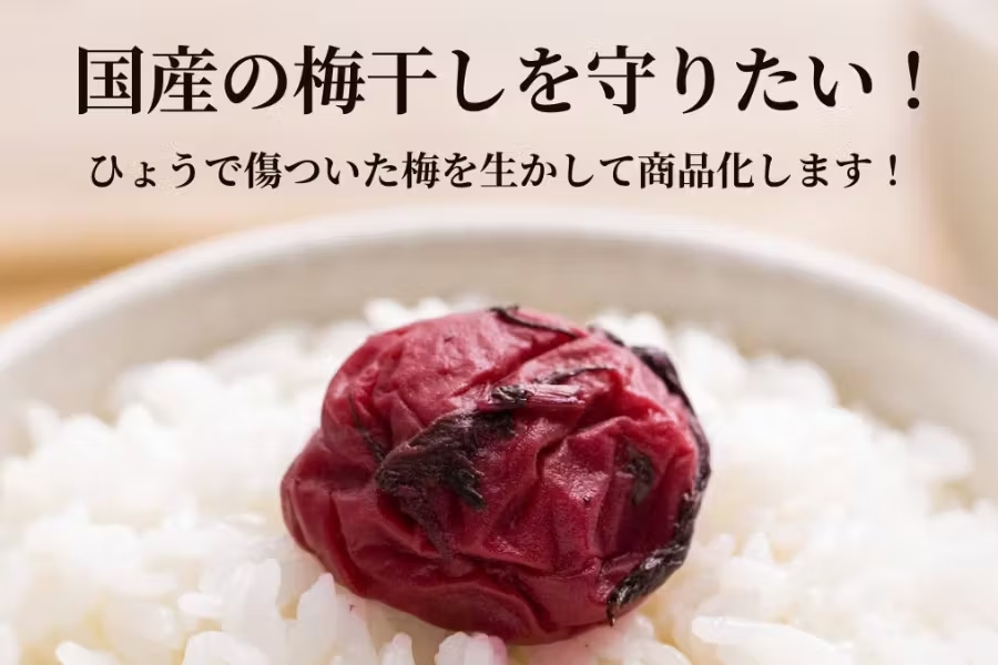 うめひかり