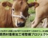 土佐あかうし