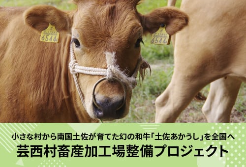土佐あかうし