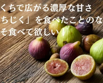 皮ごと食べれるいちじく