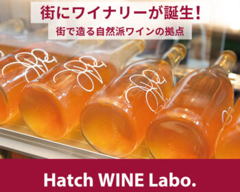Hatch WINE Labo