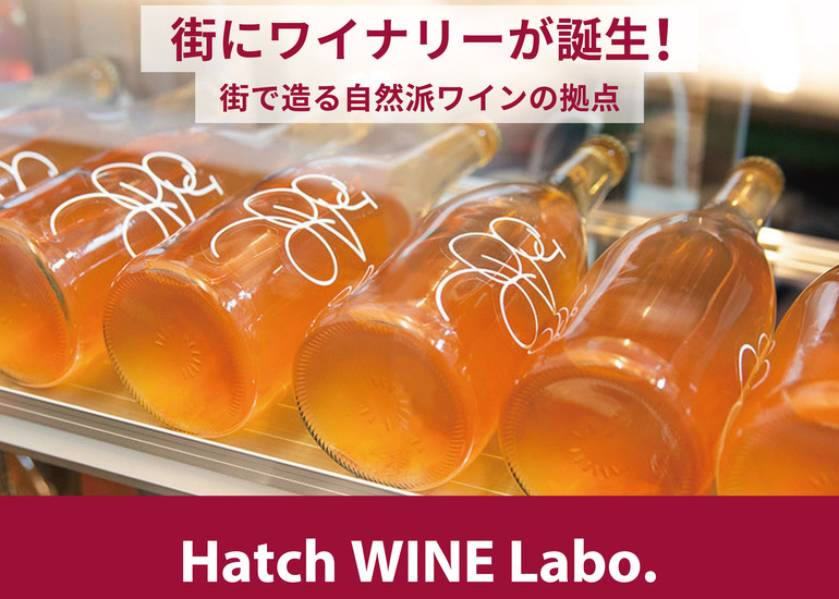 Hatch WINE Labo