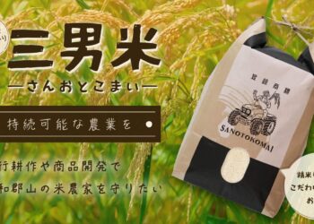 三男米