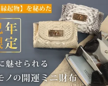 蛇革で魅せる金運財布