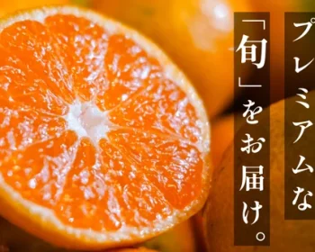 プレミアム柑橘をお届け。