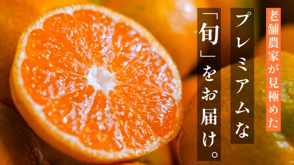 プレミアム柑橘をお届け。