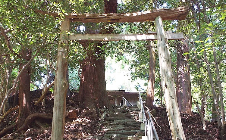 牛小屋地区