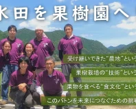 水田を果樹園へ