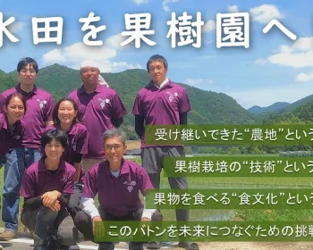 水田を果樹園へ