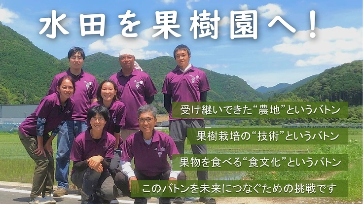 水田を果樹園へ