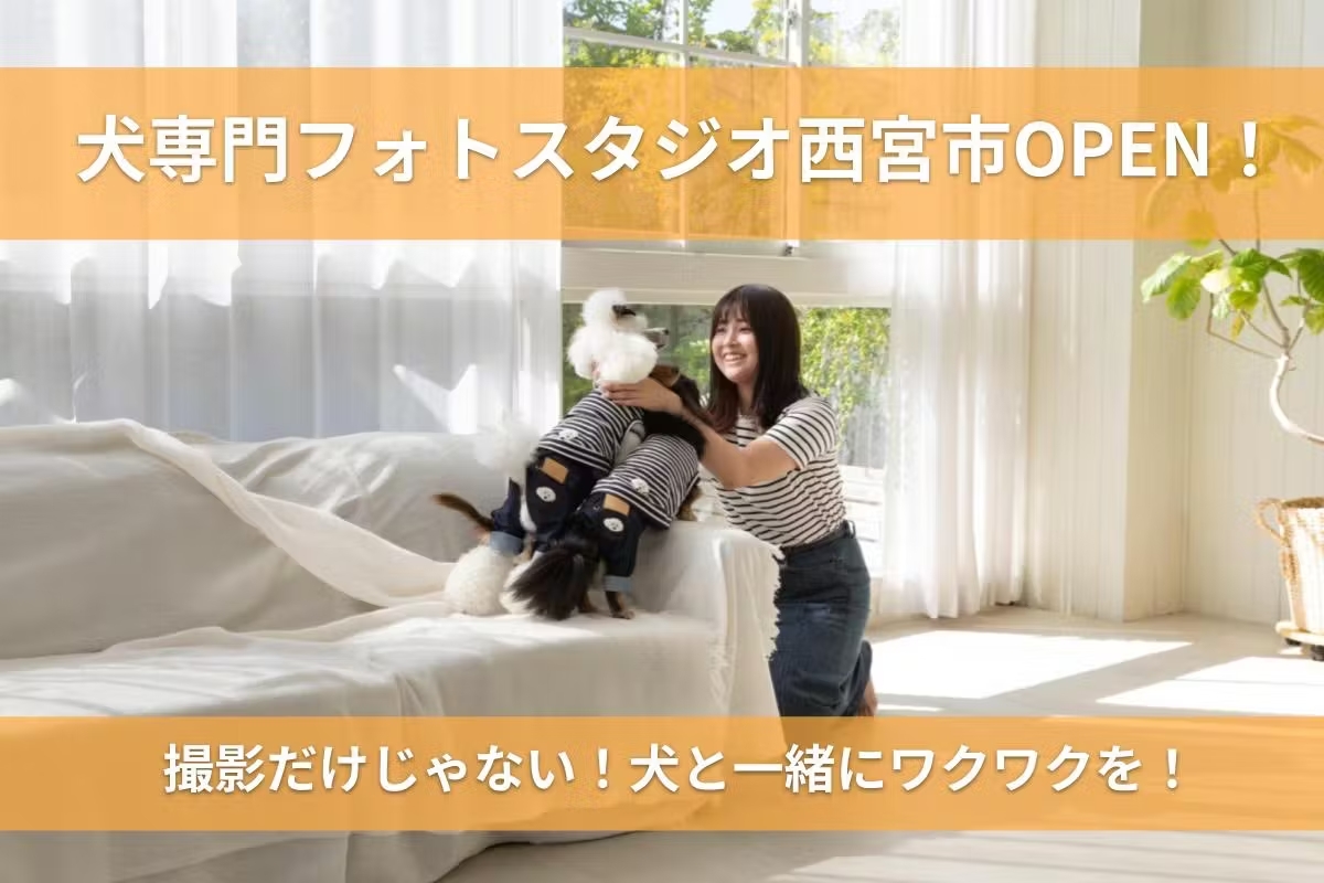 ドッグフォトスタジオを西宮に！
