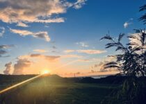 伊東市長選挙と川口市長選挙