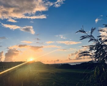 伊東市長選挙と川口市長選挙