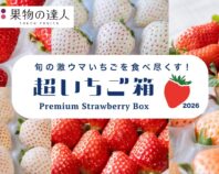 旬の激ウマいちごを食べ尽くす「超いちご箱」2026！専門家による厳選いちごセット