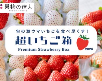 旬の激ウマいちごを食べ尽くす「超いちご箱」2026！専門家による厳選いちごセット