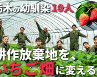 幼馴染10人が"耕作放棄地"をいちご畑に蘇らせる！地元・栃木から農業の未来を耕す