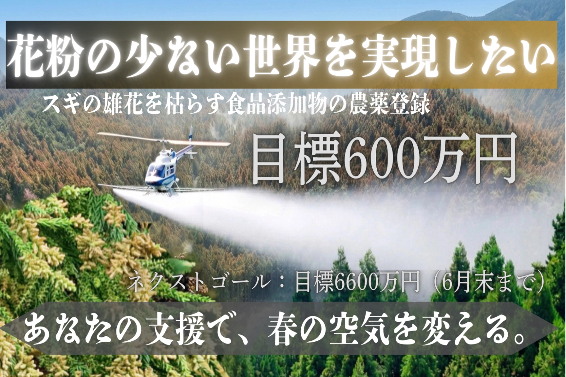 食品添加物を利用したスギ花粉飛散防止剤の早期実用化を目指します（寄附金控除あり）