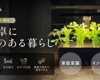 【水だけで、ここまで育つ】室内が農園に。野菜も果物もこれ一台で完結　GLENOA