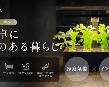 【水だけで、ここまで育つ】室内が農園に。野菜も果物もこれ一台で完結　GLENOA
