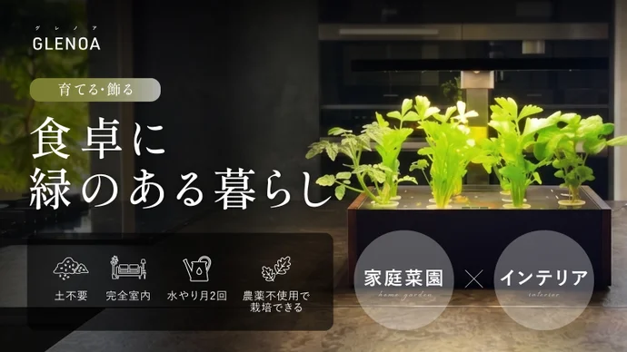 【水だけで、ここまで育つ】室内が農園に。野菜も果物もこれ一台で完結　GLENOA