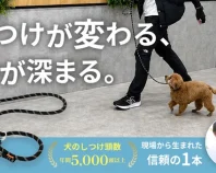 犬のしつけのプロが本気で開発！毎日の散歩としつけが変わる究極のトレーニングリード
