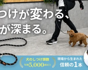 犬のしつけのプロが本気で開発！毎日の散歩としつけが変わる究極のトレーニングリード