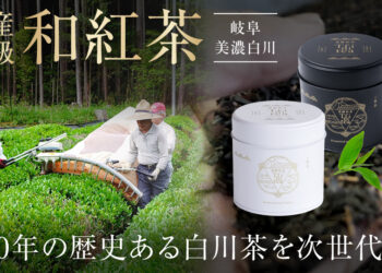 【岐阜・美濃白川】国産高級「和紅茶」｜400年の歴史ある白川茶を次世代へ