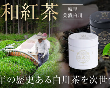 【岐阜・美濃白川】国産高級「和紅茶」｜400年の歴史ある白川茶を次世代へ