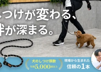 犬のしつけのプロが本気で開発！毎日の散歩としつけが変わる究極のトレーニングリード