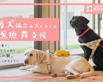 関西盲導犬協会｜犬たちが元気に目覚める朝を、１日でも長く