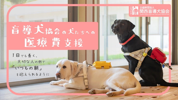 関西盲導犬協会｜犬たちが元気に目覚める朝を、１日でも長く