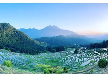 【みえの棚田】消失危機の絶景棚田を米で次世代へつなぐ!